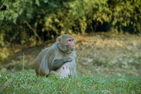 Empowerment des Femmes : La Clé de la Prévention Sociale Durable